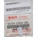 9912953R00ZWG